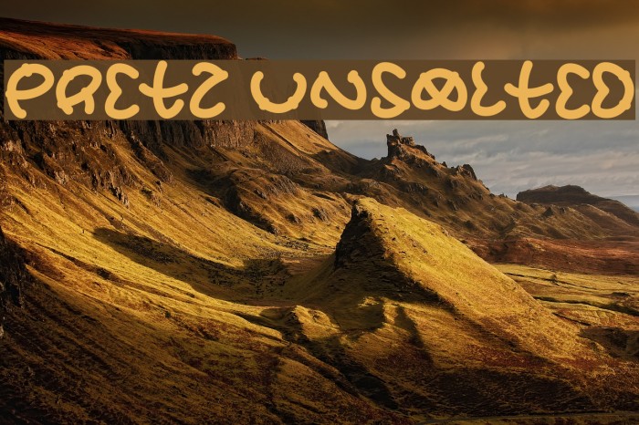 Pretz Unsalted Example 2