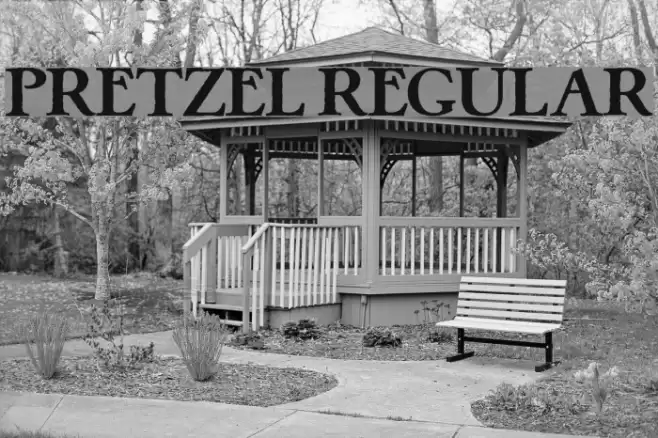 Pretzel Regular Font examples