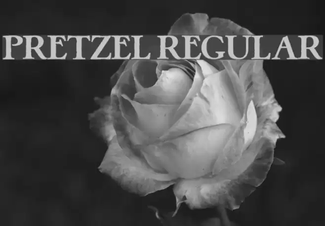 Pretzel Regular Font examples