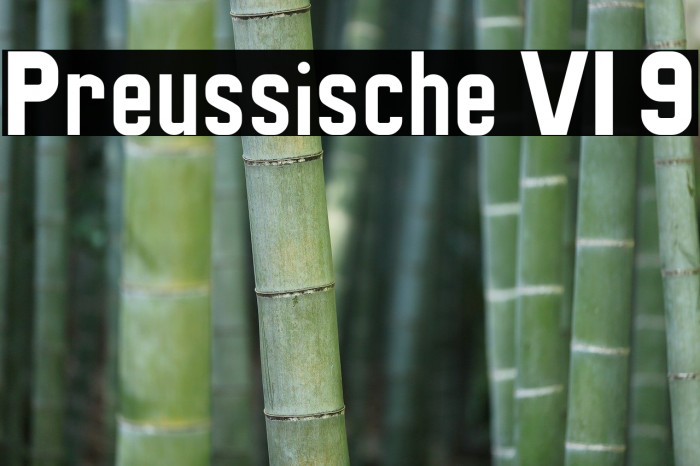 Preussische VI 9 Font examples
