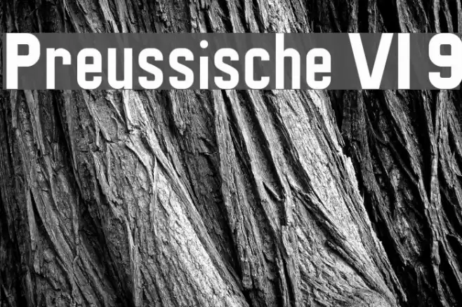 Preussische VI 9 Font examples