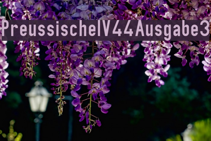 PreussischeIV44Ausgabe3 Font examples