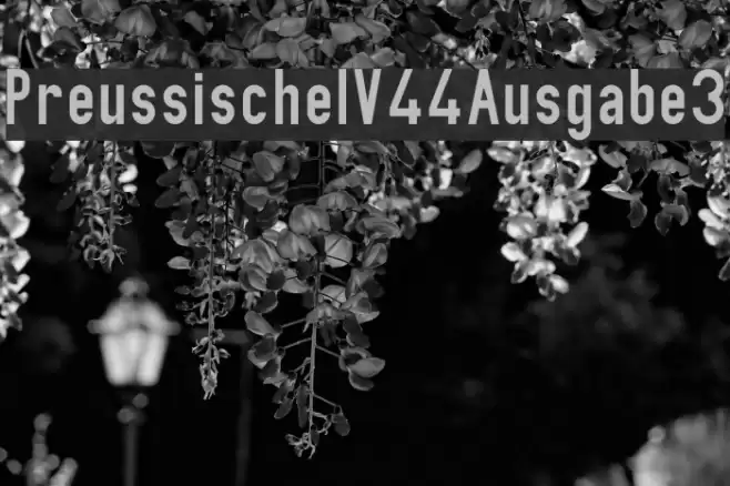 PreussischeIV44Ausgabe3 Шрифта examples