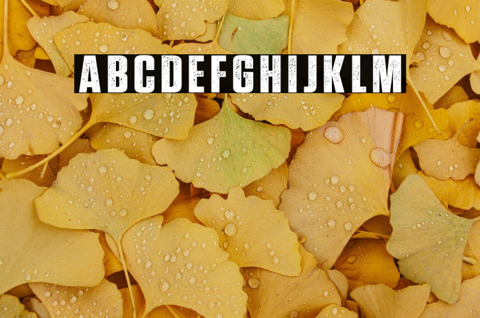 Prevalent Minor Demo Example 3