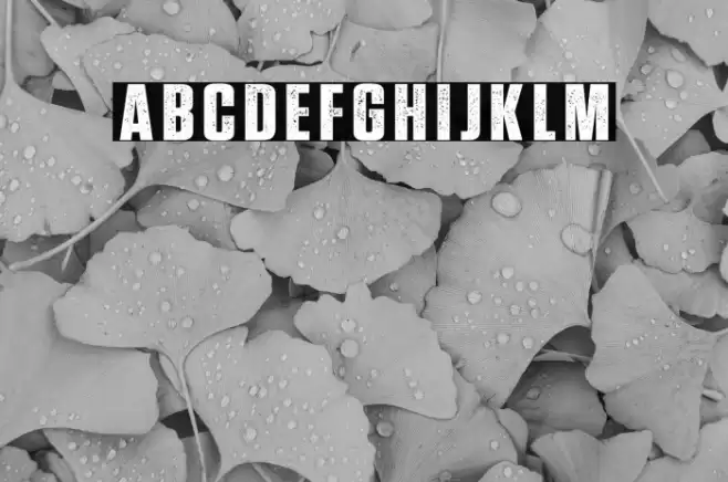 Prevalent Minor Demo Font examples