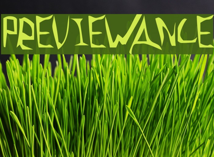 Previewance Example 2