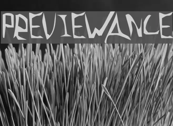 Previewance Font examples