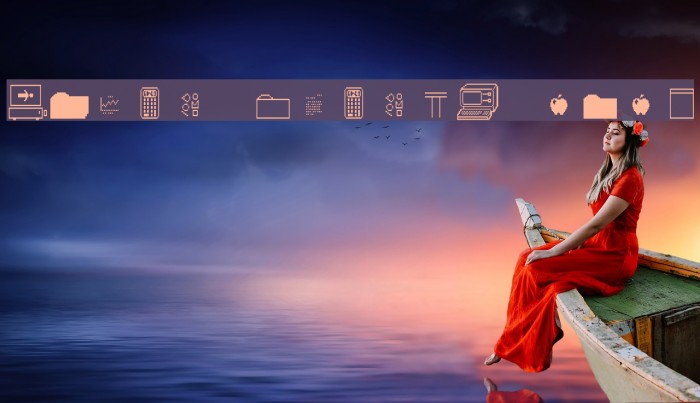 Priam Whamos 2X3Y Example 2