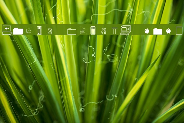 Priam Whamos 2X3Y Example 3