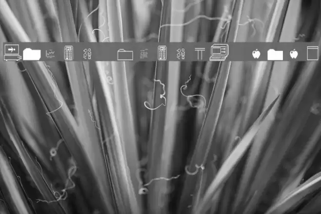 Priam Whamos 2X3Y Font examples