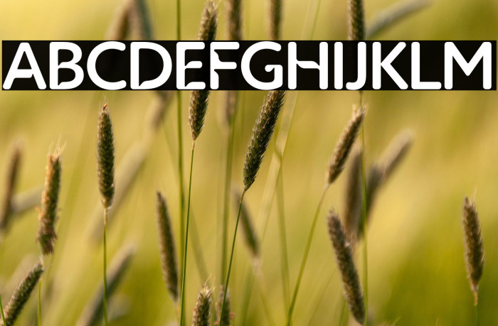 Priborg Sans Example 3