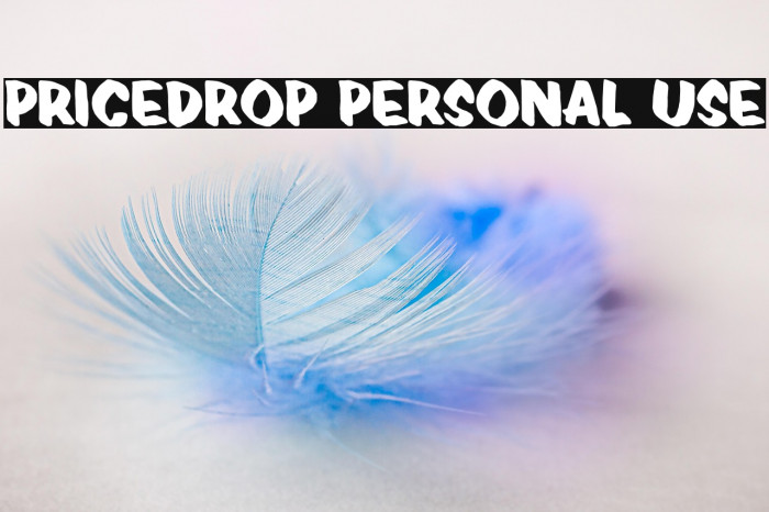 Pricedrop Personal Use Example 2