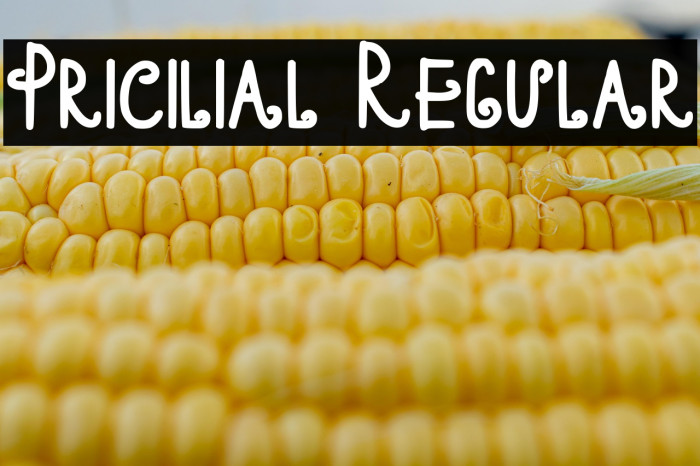 Pricilial Regular Example 1