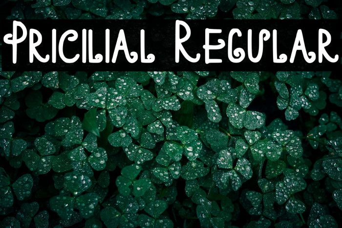 Pricilial Regular Example 2