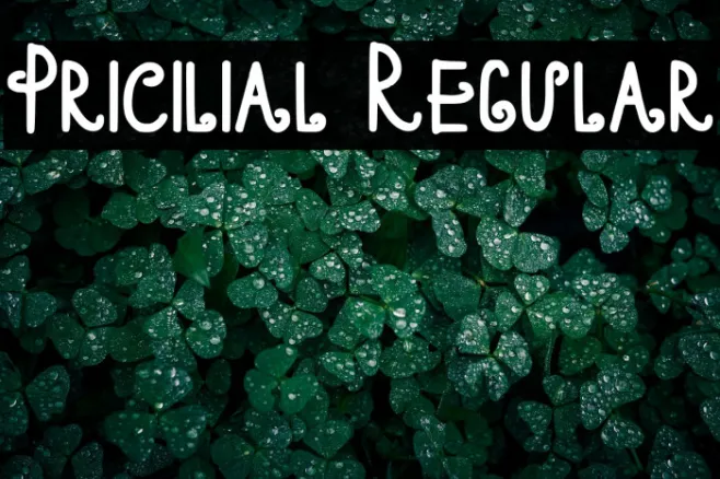 Pricilial Regular Example 2