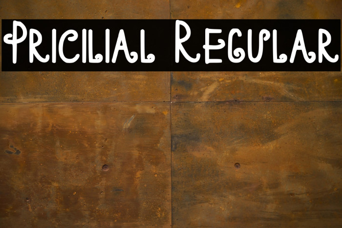 Pricilial Regular Example 3