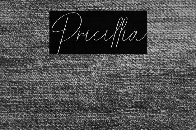 Pricillia Font examples