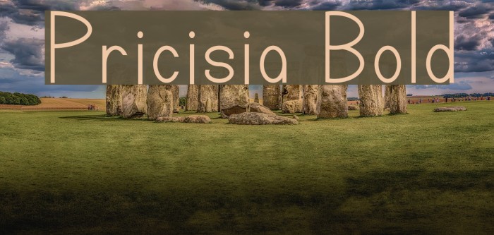 Pricisia Bold Font examples