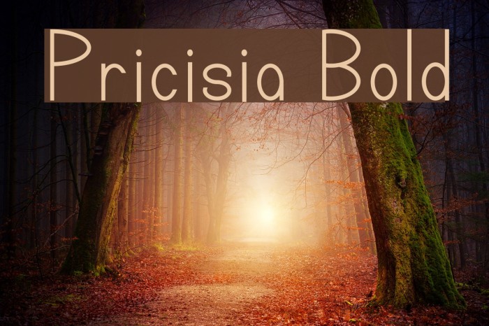 Pricisia Bold Font examples