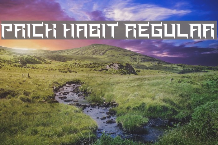 Prick Habit Regular Font examples