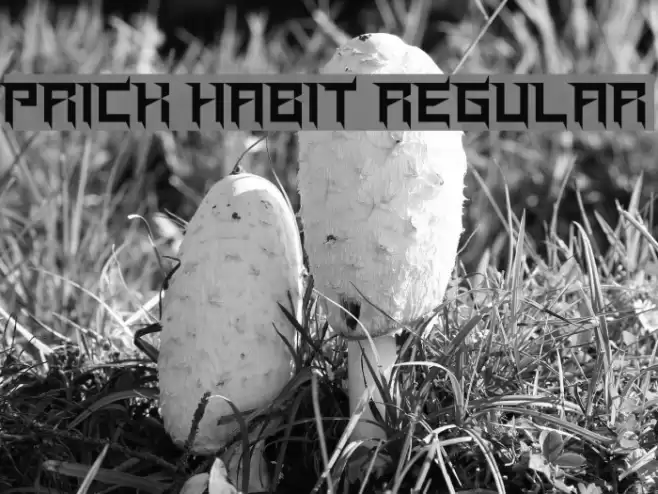 Prick Habit Regular Font examples