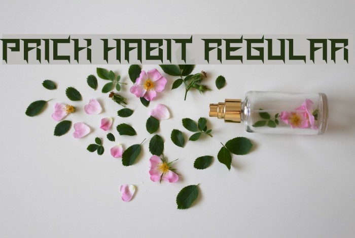 Prick Habit Regular Font examples