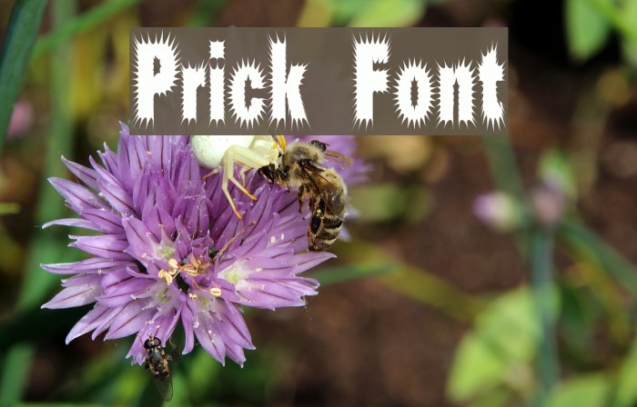 Prick Font examples