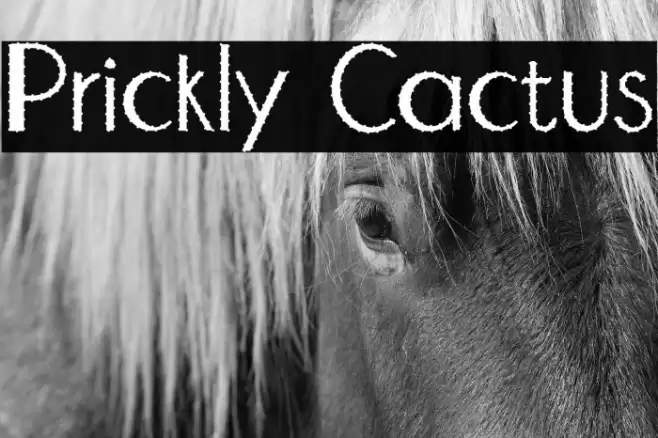 Prickly Cactus Font examples