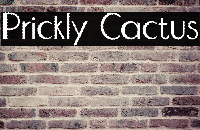 Prickly Cactus Example 2