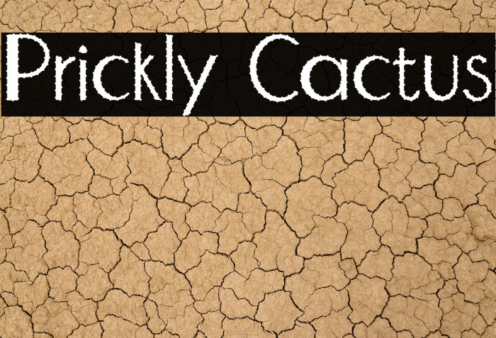 Prickly Cactus Example 3