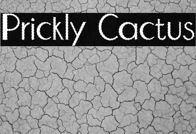 Prickly Cactus Font examples