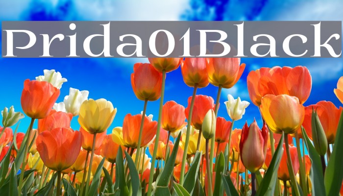 Prida01Black Font examples