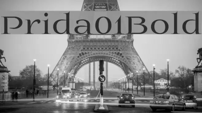 Prida01Bold  examples