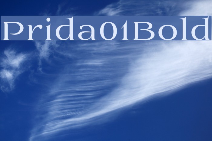 Prida01Bold Font examples