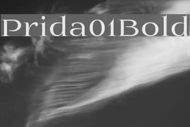 Prida01Bold  examples