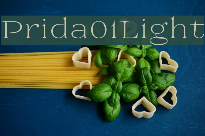 Prida01Light Font examples