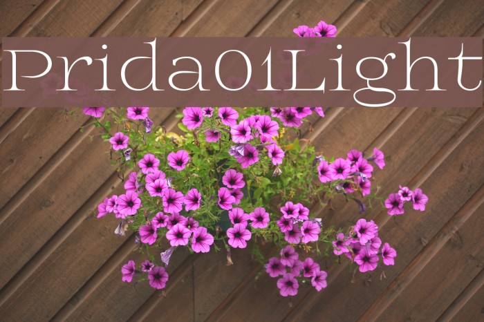 Prida01Light Font examples