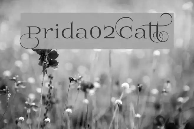 Prida02Calt Font examples
