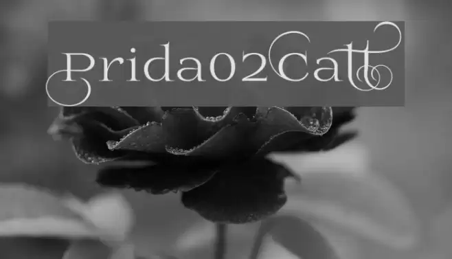Prida02Calt Font examples