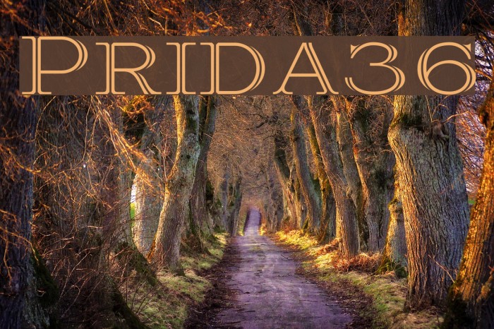 Prida36 Font examples