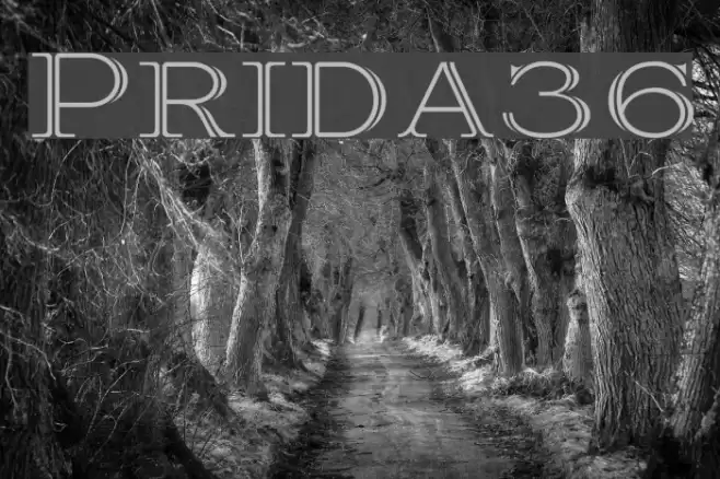 Prida36 Font examples