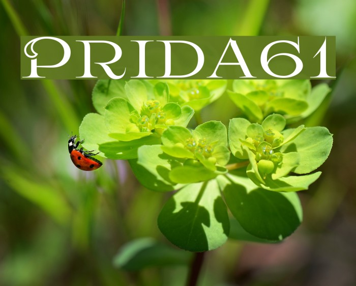 Prida61 Font examples