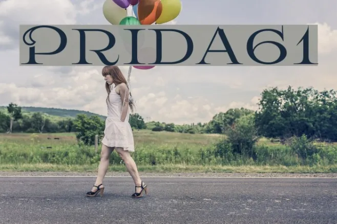 Prida61 Example 2