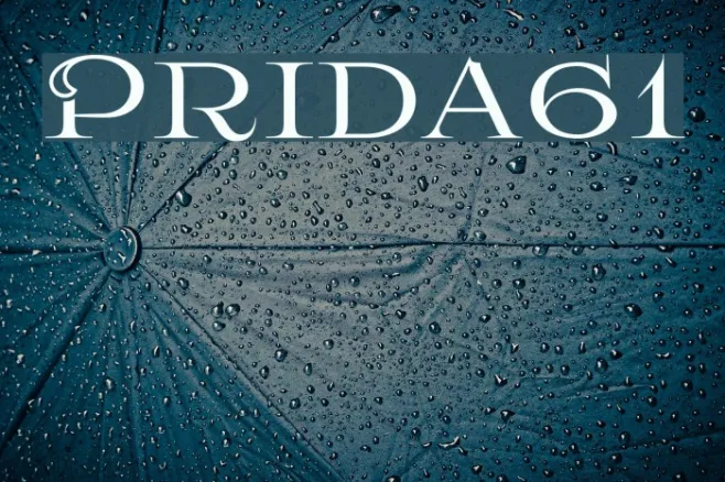 Prida61 Example 3