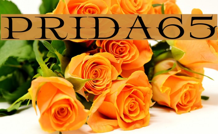 Prida65 Font examples