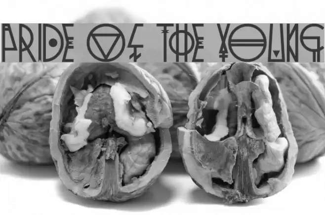 Pride Of The Young Font examples