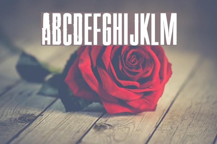 Pride Thusly Font examples