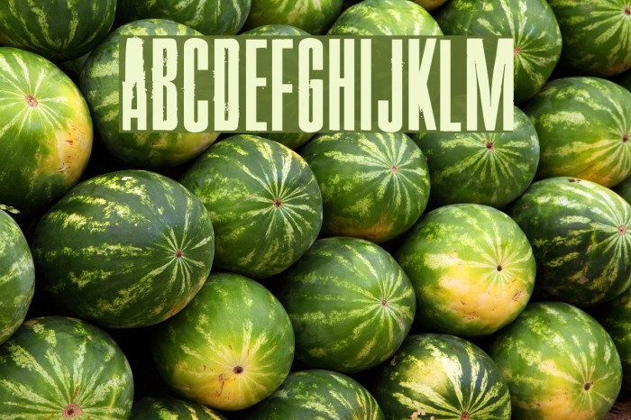 Pride Thusly Font examples