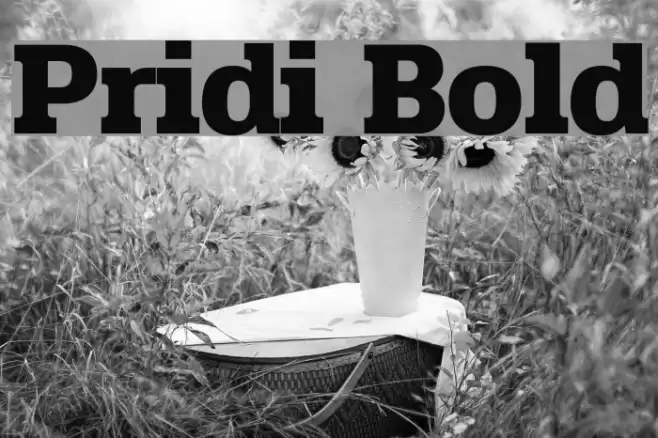 Pridi Bold Font examples