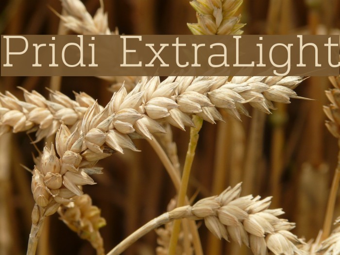 Pridi ExtraLight Font examples